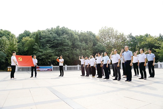 華東區優秀母豬料品牌